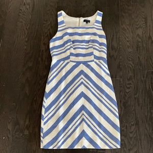 The Limited Petite Lined Strapless Dress